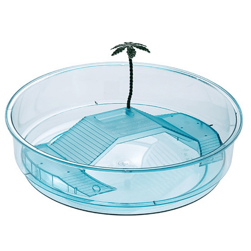 Terariu pentru broaste testoase Oasi 34.5x9.5 cm - Animax