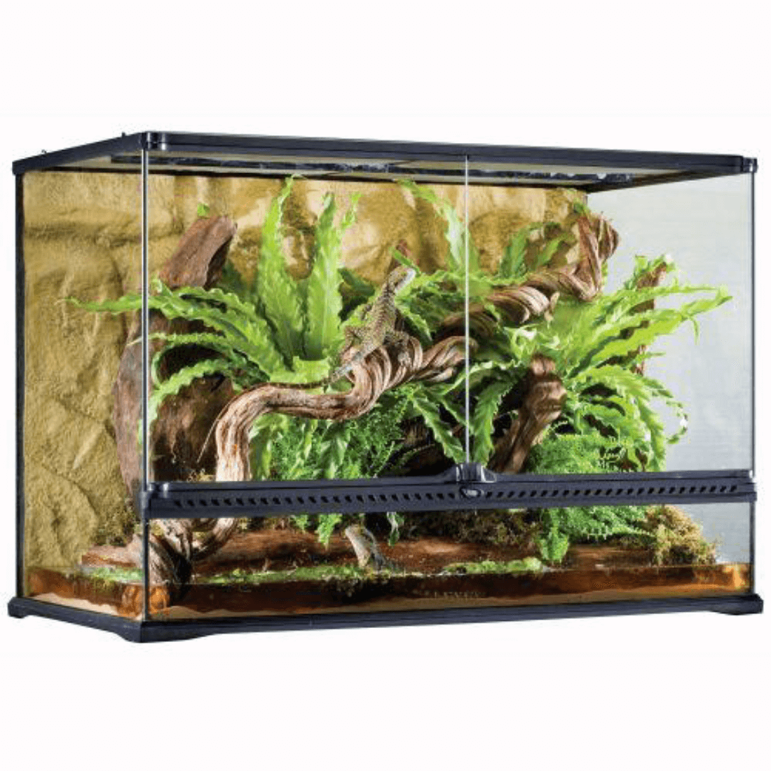 Terariu din sticla Exo Terra 90 x 45 x 90 cm - Animax
