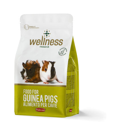 Hrana pentru porcusori de Guineea Wellness G-Pig 1 kg - Animax